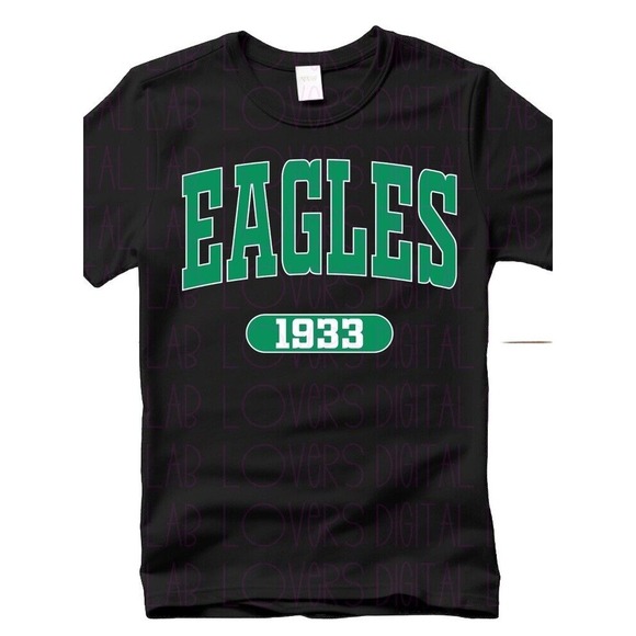 Gildan Other - Philadelphia Eagles Team T-Shirt Black‎ Green Size Medium